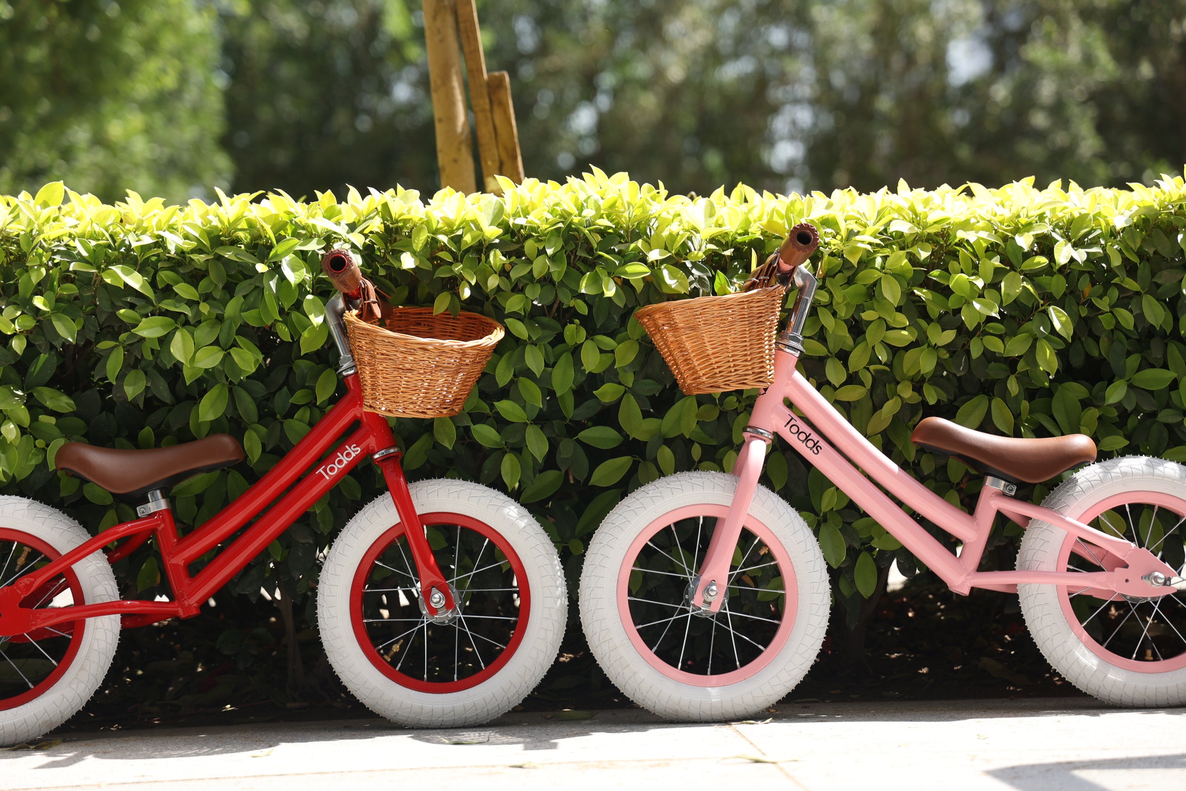 The Science Behind Balance Bikes and Why They’re Great for Kids